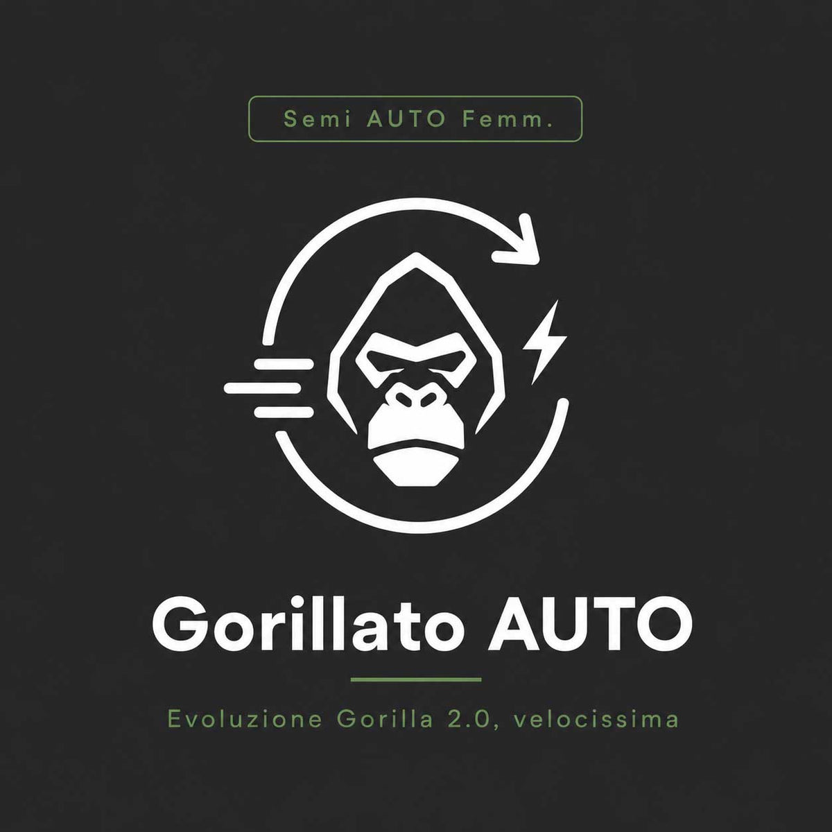 Gorillato AUTO