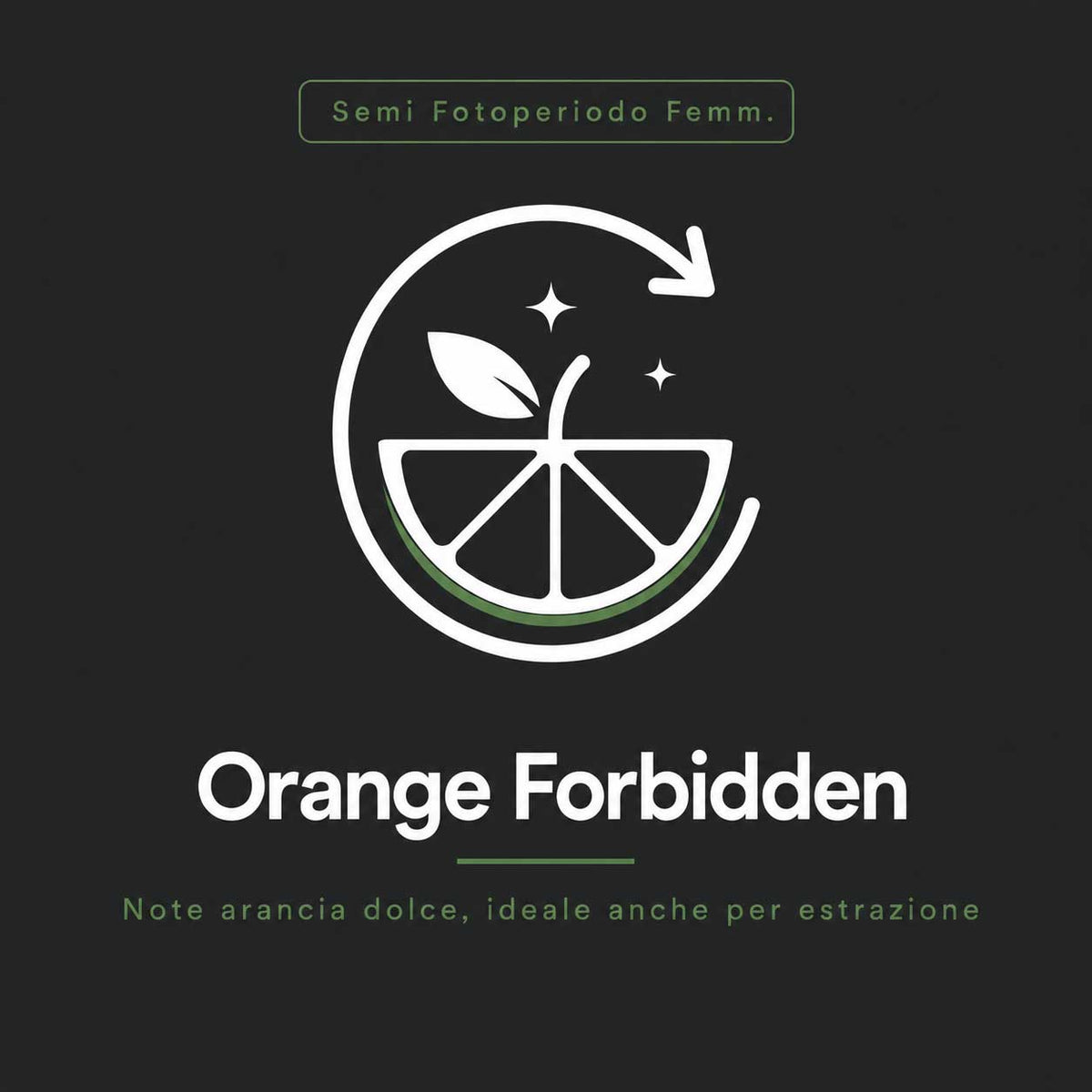 Orange Forbidden