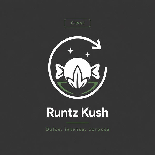 Runtz Kush